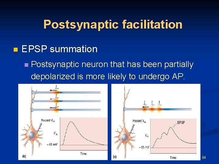 Postsynaptic facilitation n EPSP summation n Postsynaptic neuron that has been partially depolarized is