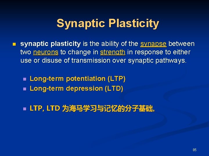 Synaptic Plasticity n synaptic plasticity is the ability of the synapse between two neurons