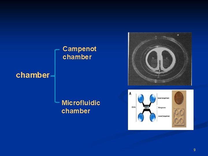 Campenot chamber Microfluidic chamber 9 