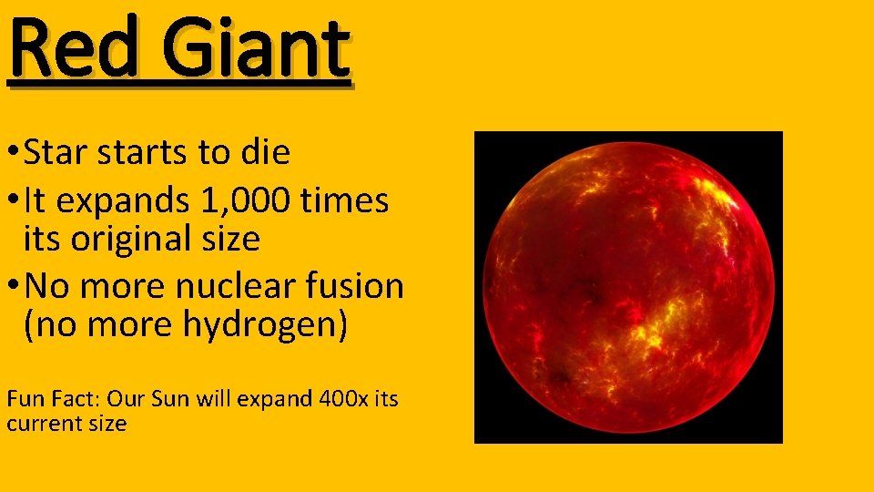 Red Giant • Star starts to die • It expands 1, 000 times its