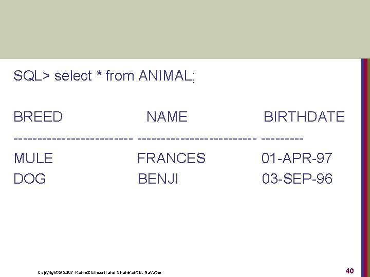 SQL> select * from ANIMAL; BREED NAME BIRTHDATE MULE FRANCES 01 APR 97 DOG
