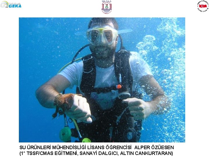 SU ÜRÜNLERİ MÜHENDİSLİĞİ LİSANS ÖĞRENCİSİ ALPER ÖZÜESEN (1* TSSF/CMAS EĞİTMENİ, SANAYİ DALGICI, ALTIN CANKURTARAN)