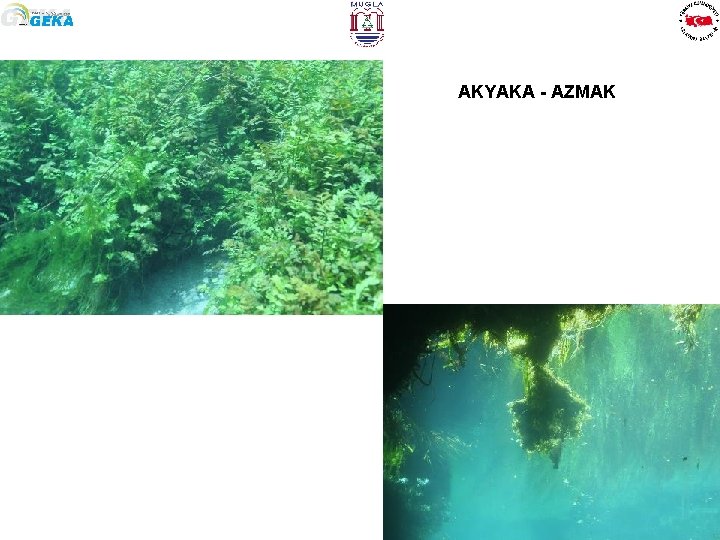 AKYAKA - AZMAK 