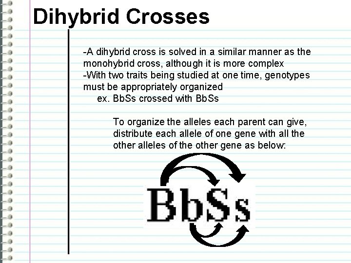 Dihybrid Crosses -A dihybrid cross is solved in a similar manner as the monohybrid