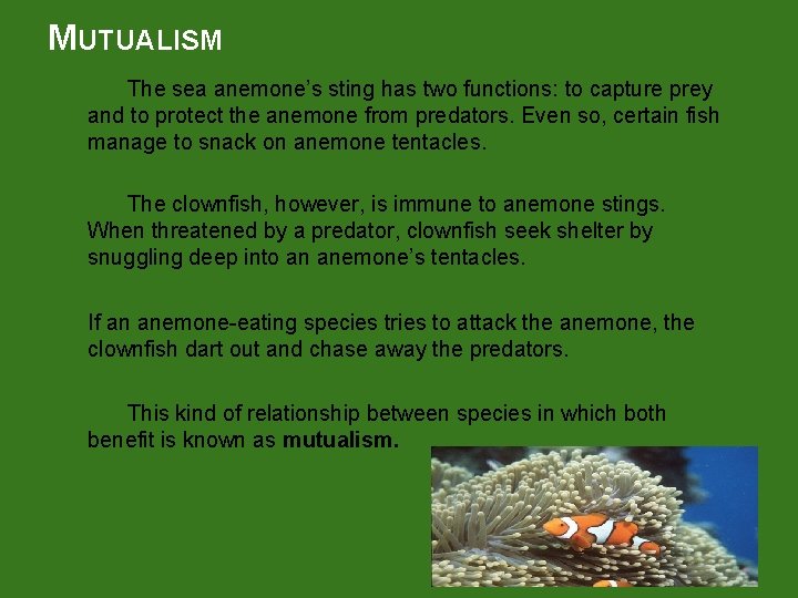 MUTUALISM The sea anemone’s sting has two functions: to capture prey and to protect