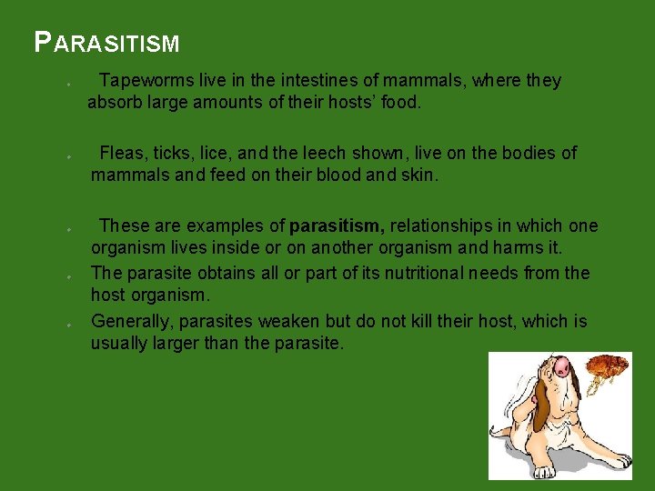 PARASITISM u u u Tapeworms live in the intestines of mammals, where they absorb