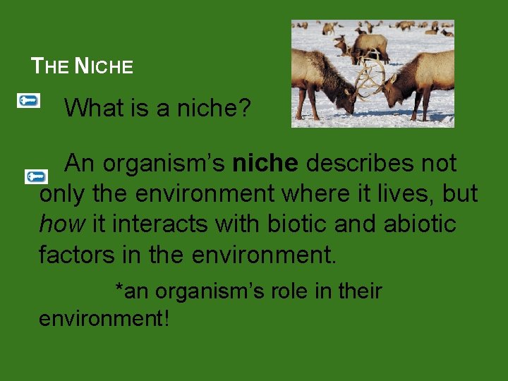 THE NICHE What is a niche? An organism’s niche describes not only the environment