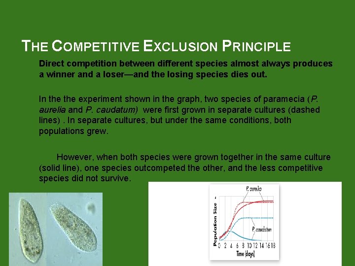 THE COMPETITIVE EXCLUSION PRINCIPLE Direct competition between different species almost always produces a winner