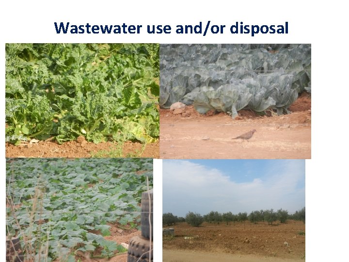 Wastewater use and/or disposal 