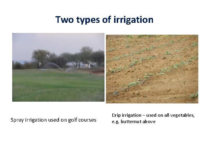 Two types of irrigation Spray irrigation used on golf courses Drip irrigation – used