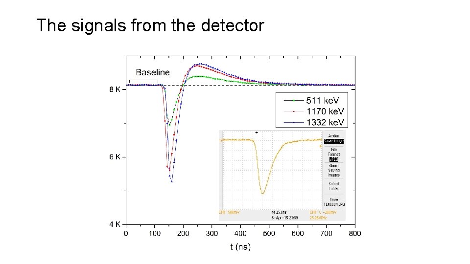 The signals from the detector 