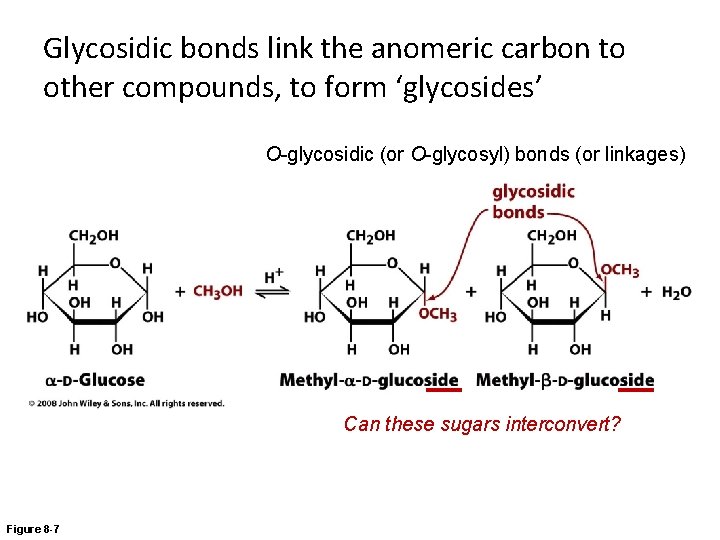 Glycosidic bonds link the anomeric carbon to other compounds, to form ‘glycosides’ O-glycosidic (or