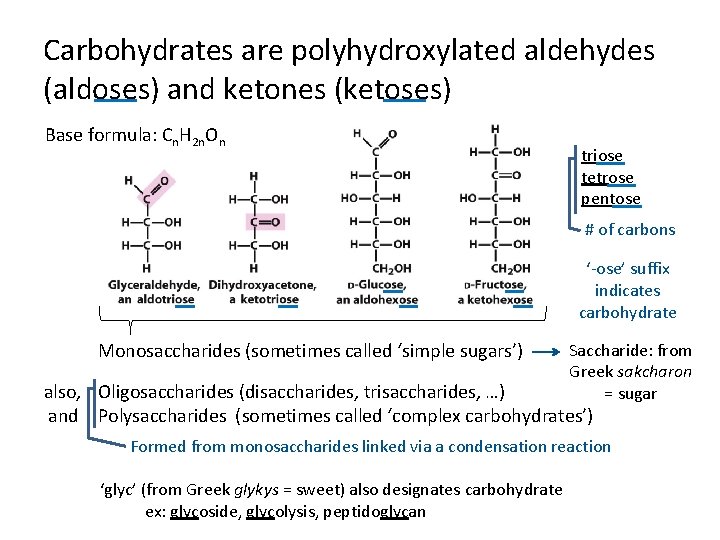 Carbohydrates are polyhydroxylated aldehydes (aldoses) and ketones (ketoses) Base formula: Cn. H 2 n.