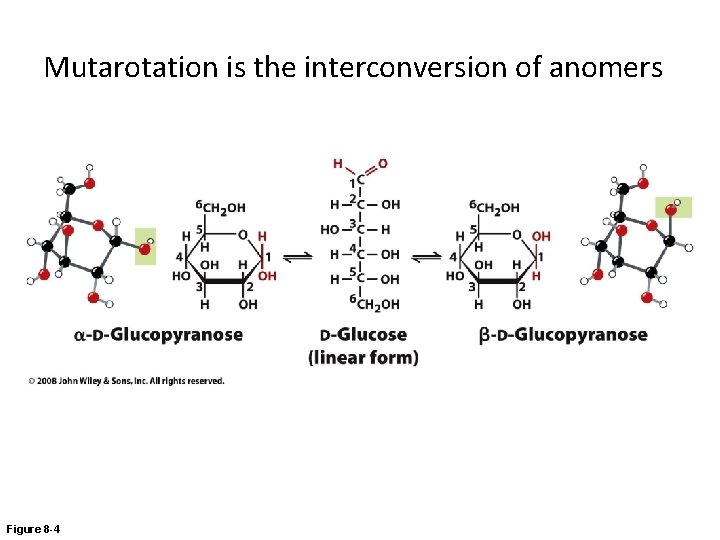 Mutarotation is the interconversion of anomers Figure 8 -4 