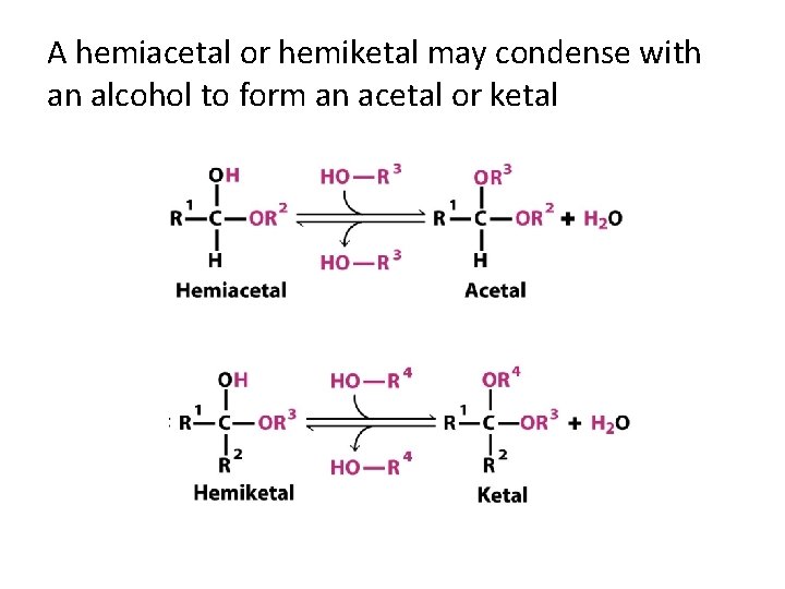 A hemiacetal or hemiketal may condense with an alcohol to form an acetal or