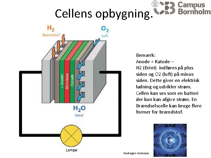 Cellens opbygning. Bemærk: Anode + Katode – H 2 (Brint) indføres på plus siden