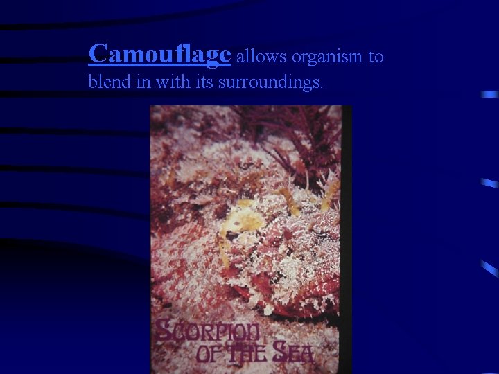 Camouflage allows organism to blend in with its surroundings. 