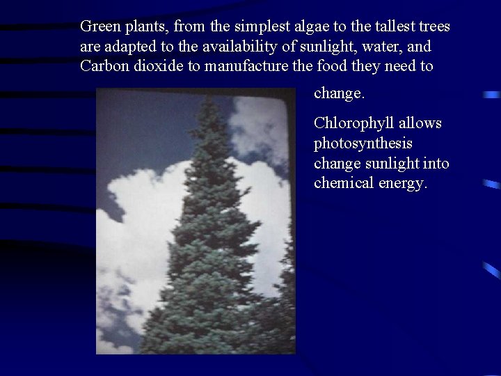 Green plants, from the simplest algae to the tallest trees are adapted to the