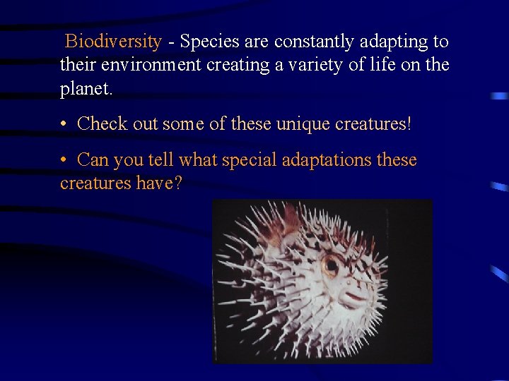 Biodiversity - Species are constantly adapting to their environment creating a variety of life