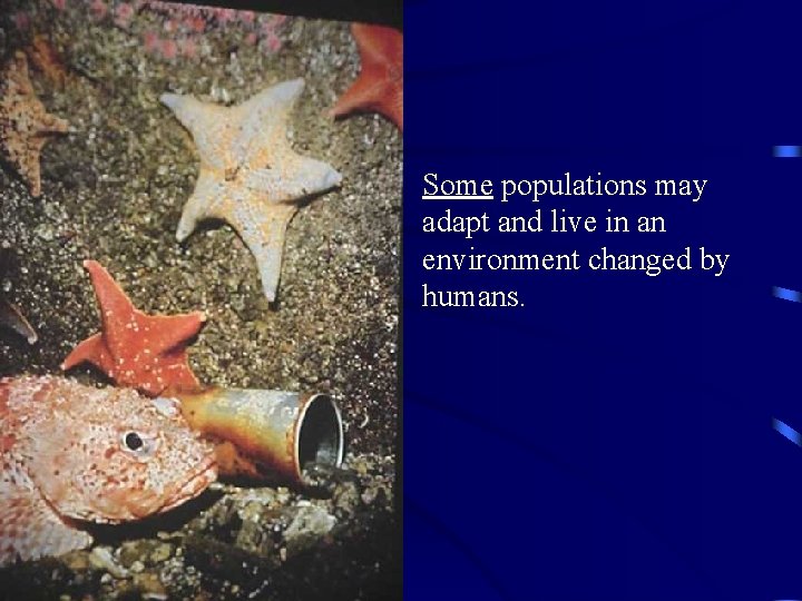 Some populations may adapt and live in an environment changed by humans. 