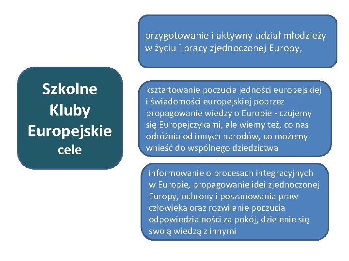 przygotowanie i aktywny udział młodzieży w życiu i pracy zjednoczonej Europy, Szkolne Kluby Europejskie