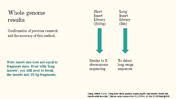 Whole genome results Short Insert Library (200 bp) Long Insert Library (2 kb) Confirmation