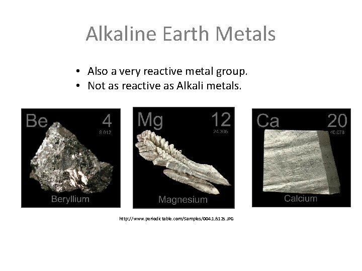 Alkaline Earth Metals • Also a very reactive metal group. • Not as reactive