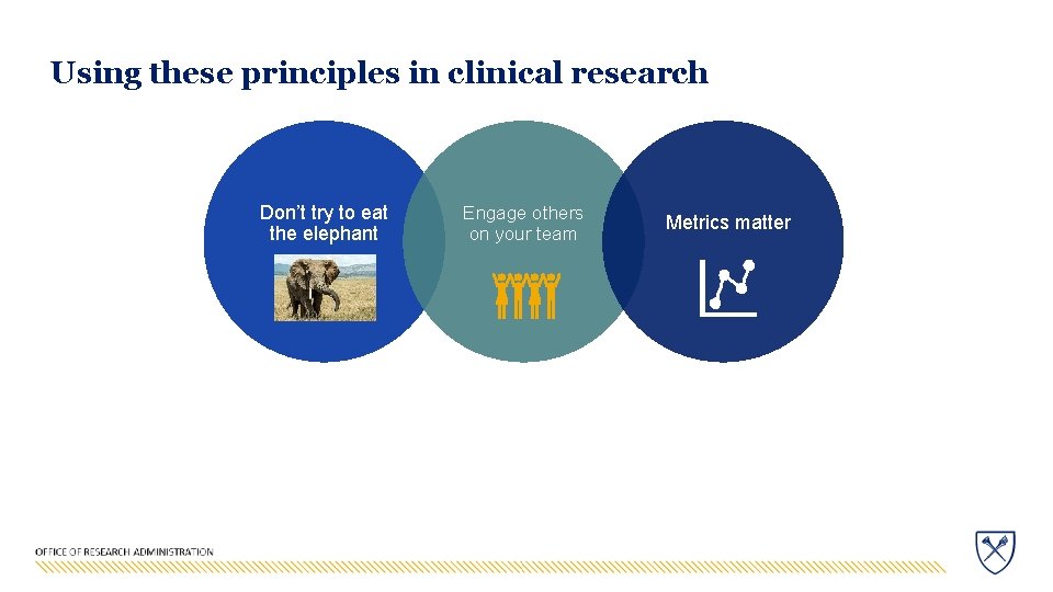 Using these principles in clinical research Don’t try to eat the elephant Engage others