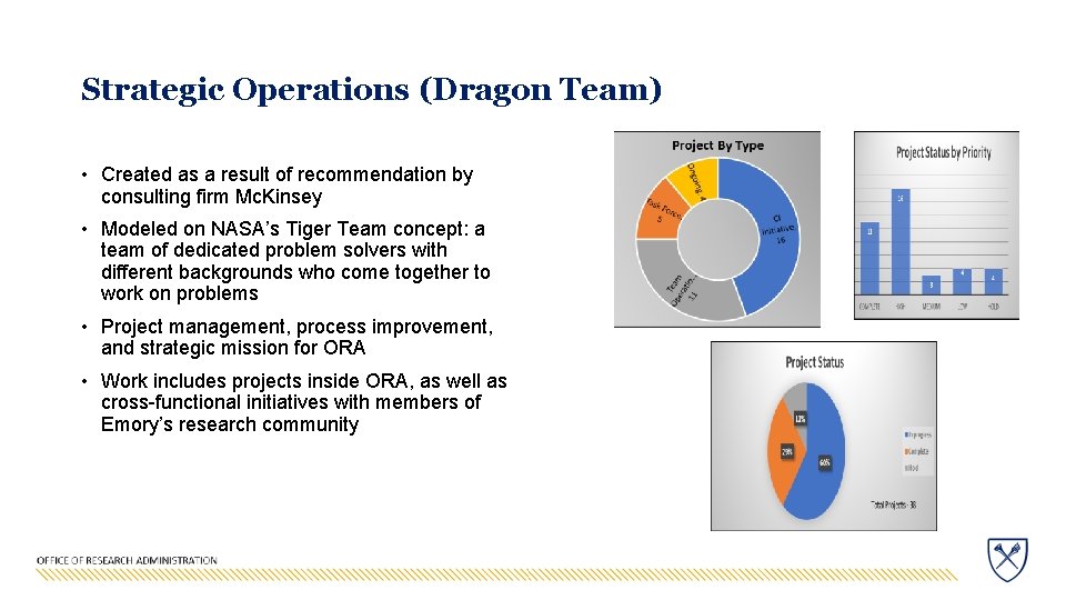 Strategic Operations (Dragon Team) • Created as a result of recommendation by consulting firm