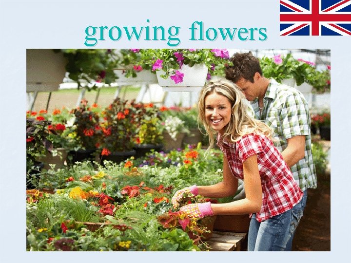 growing flowers 