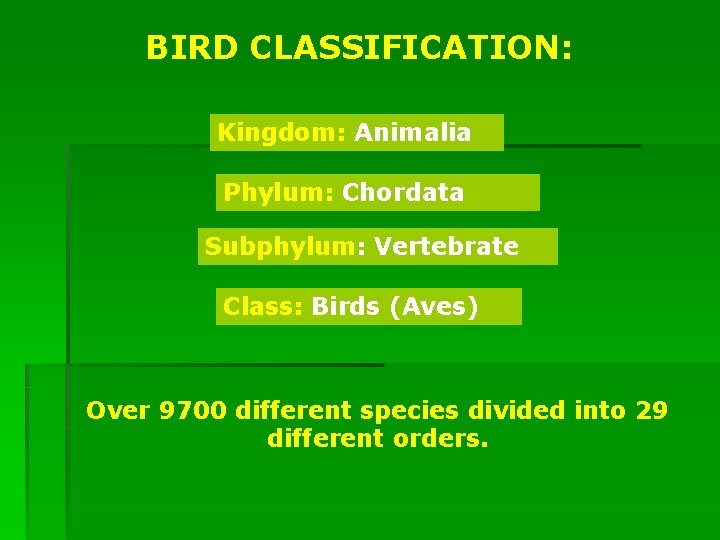 BIRD CLASSIFICATION: Kingdom: Animalia Phylum: Chordata Subphylum: Vertebrate Class: Birds (Aves) Over 9700 different