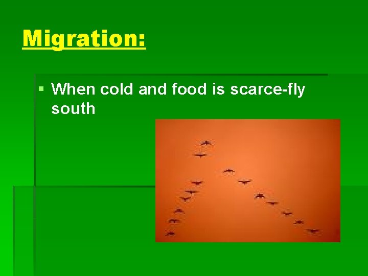 Migration: § When cold and food is scarce-fly south 