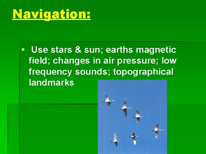 Navigation: § Use stars & sun; earths magnetic field; changes in air pressure; low
