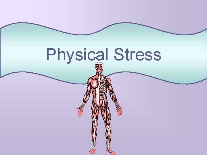 Physical Stress 