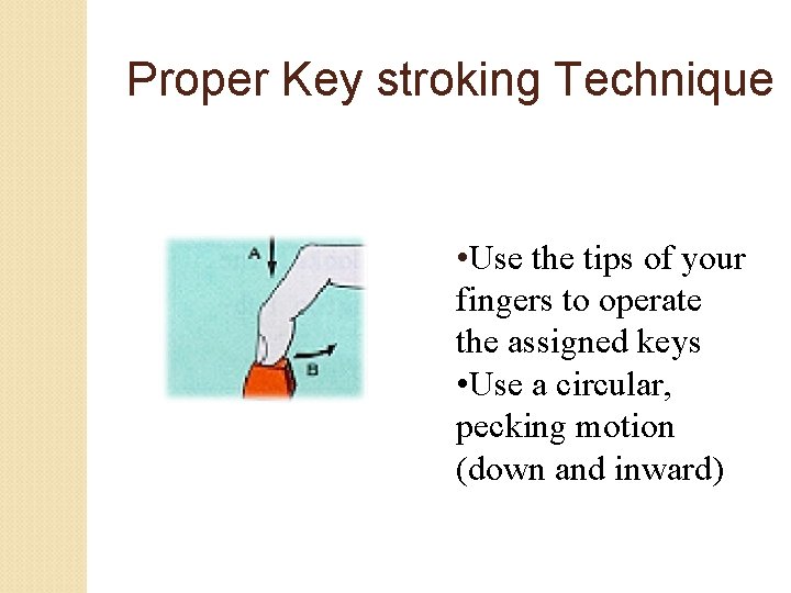 Proper Key stroking Technique • Use the tips of your fingers to operate the