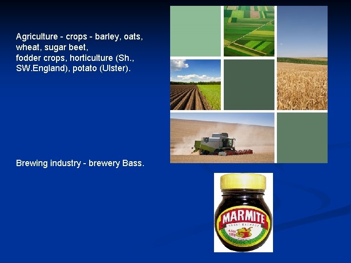 Agriculture - crops - barley, oats, wheat, sugar beet, fodder crops, horticulture (Sh. ,