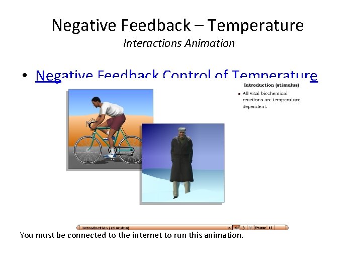 Negative Feedback – Temperature Interactions Animation • Negative Feedback Control of Temperature You must