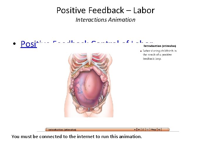 Positive Feedback – Labor Interactions Animation • Positive Feedback Control of Labor You must