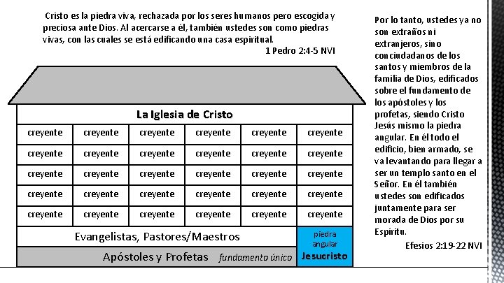 Cristo es la piedra viva, rechazada por los seres humanos pero escogida y preciosa