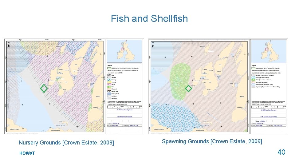 Fish and Shellfish Nursery Grounds [Crown Estate, 2009] HOWa. T Spawning Grounds [Crown Estate,