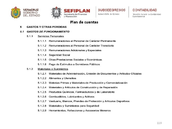 Plan de cuentas 119 