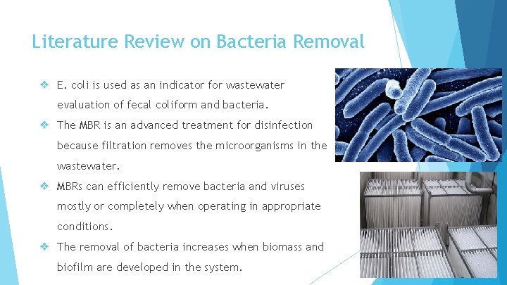 Literature Review on Bacteria Removal ❖ E. coli is used as an indicator for