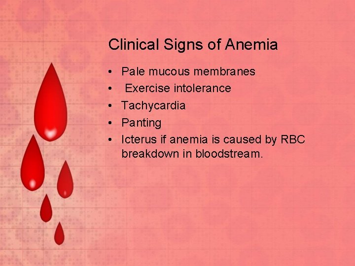 Clinical Signs of Anemia • • • Pale mucous membranes Exercise intolerance Tachycardia Panting