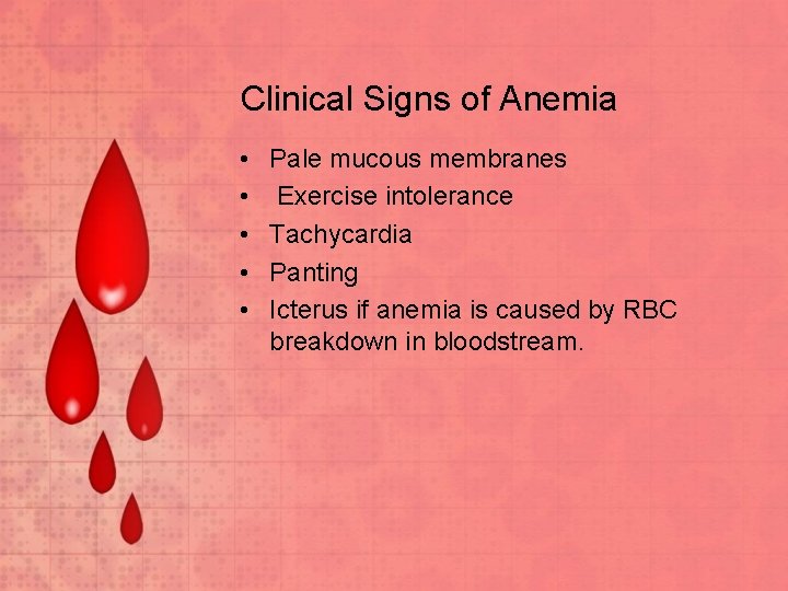 Clinical Signs of Anemia • • • Pale mucous membranes Exercise intolerance Tachycardia Panting