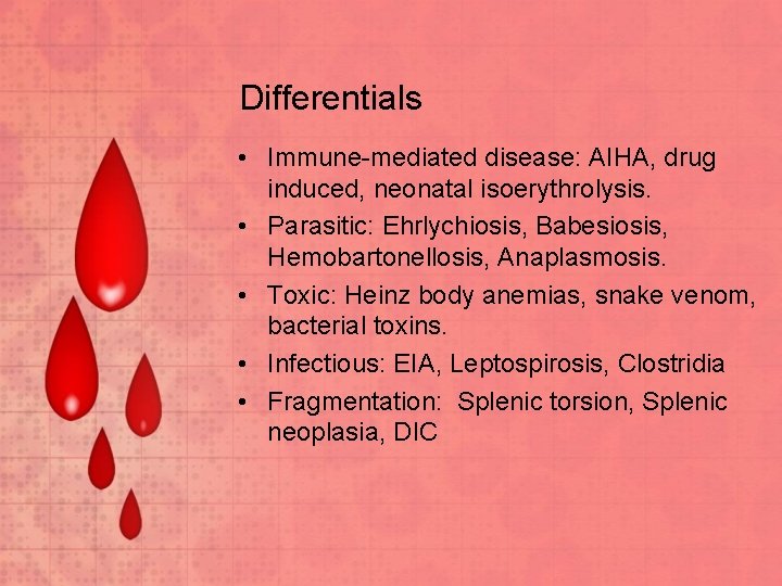 Differentials • Immune-mediated disease: AIHA, drug induced, neonatal isoerythrolysis. • Parasitic: Ehrlychiosis, Babesiosis, Hemobartonellosis,