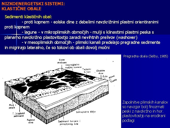 NIZKOENERGETSKI SISTEMI: KLASTIČNE OBALE Sedimenti klastičnih obal: - proti kopnem - eolske dine z