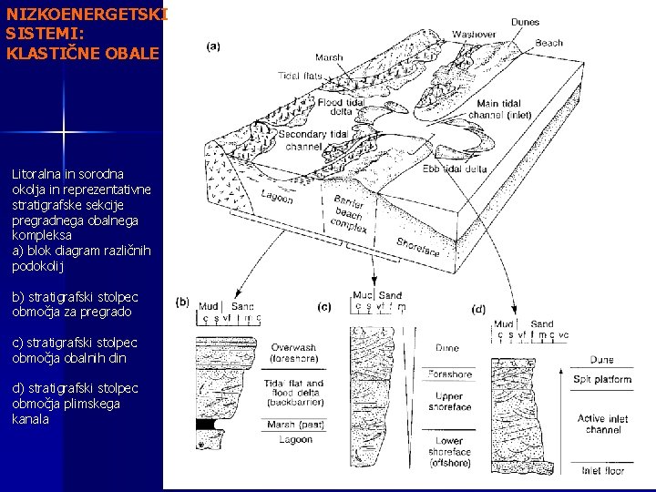 NIZKOENERGETSKI SISTEMI: KLASTIČNE OBALE Litoralna in sorodna okolja in reprezentativne stratigrafske sekcije pregradnega obalnega