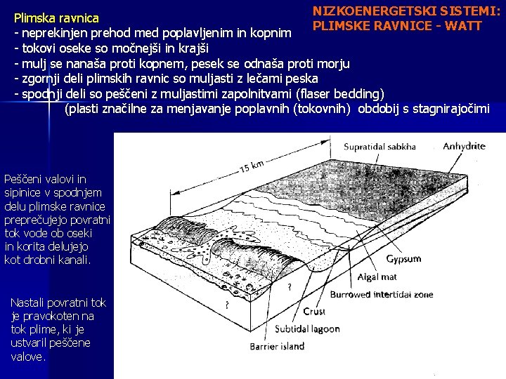 NIZKOENERGETSKI SISTEMI: Plimska ravnica PLIMSKE RAVNICE - WATT - neprekinjen prehod med poplavljenim in