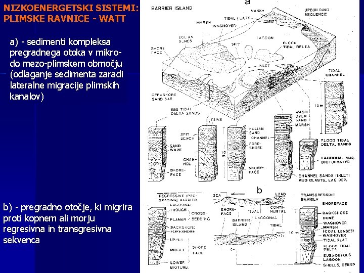 NIZKOENERGETSKI SISTEMI: PLIMSKE RAVNICE - WATT a) - sedimenti kompleksa pregradnega otoka v mikrodo