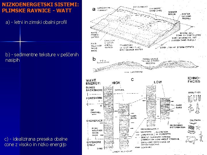 NIZKOENERGETSKI SISTEMI: PLIMSKE RAVNICE - WATT a) - letni in zimski obalni profil b)